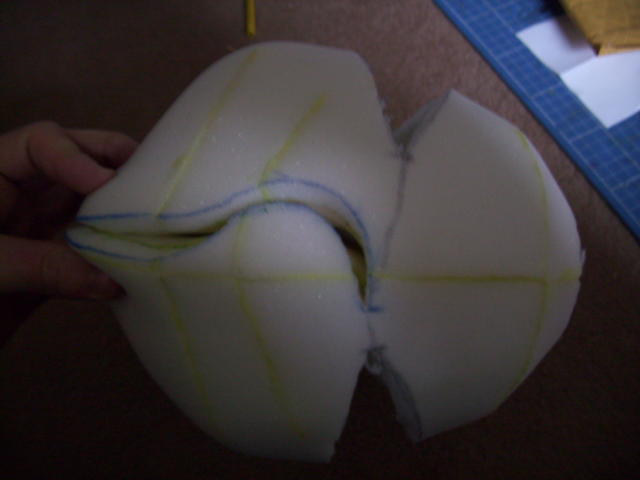 2 sections of head removed